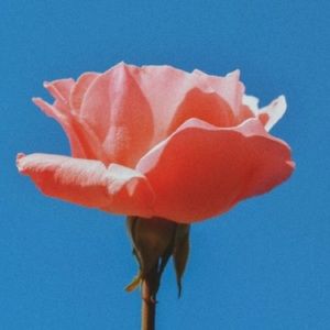 Meet your Posher, Aviana